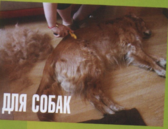 Фурминатор для собак