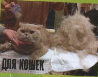 Фурминатор для кошек