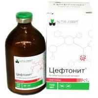 Цефтонит - антибактериальный препарат, 100 мл