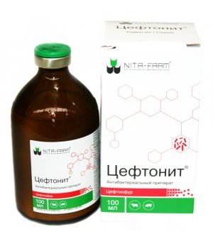 Цефтонит - антибактериальный препарат, 100 мл