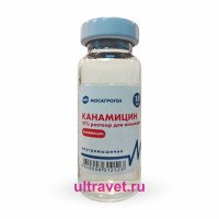 Канамицин 10%, 10 мл