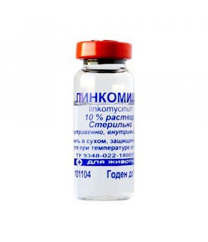 Линкомицин 10% (инъекц. раствор) - антибиотик, 10 мл