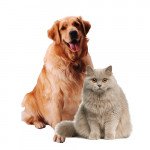 Препараты и товары для кошек и собак