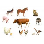 Ветеринарные препараты - товары для с/х животных