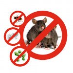 Средства для уничтожения насекомых и грызунов Средства для уничтожения насекомых и грызунов