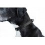 Ошейник EVOLUTOR (ЭВОЛЮТОР) самый прочный в мире, цвет черный (25 мм, ширина 25-70 см)