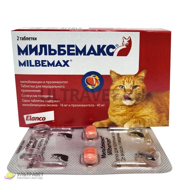 Мильбемакс таблетки для кошек купить в Москве: инструкция по применению ...