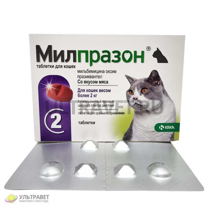 Милпразон для кошек отзывы