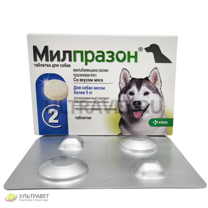 Милпразон таблетки для собак купить: инструкция по применению, цена - 540  руб.