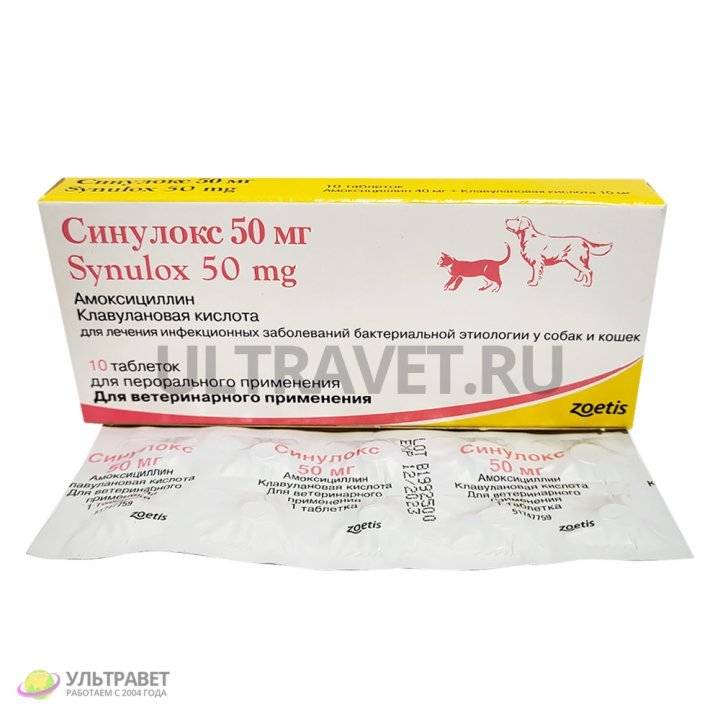 Синулокс 50 мг для кошек и собак купить: инструкция по применению, цена -  438 руб.